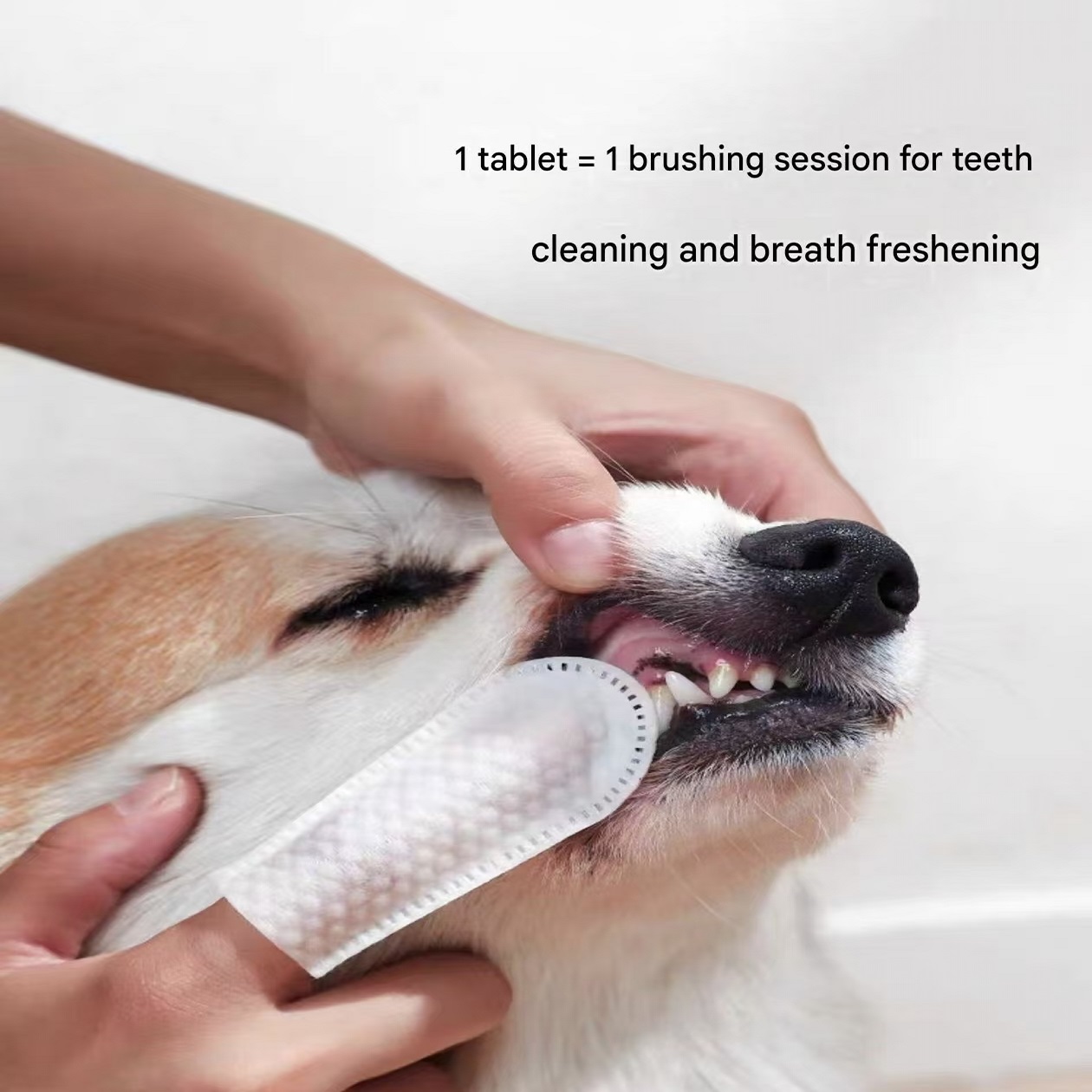 Dental Cleaning Pet Finger Wipes for Dogs Cats