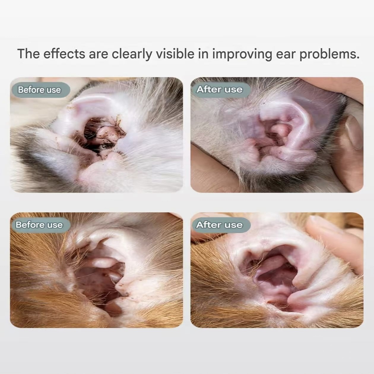 Ear Care Pet Finger Wipes for Dogs Cats
